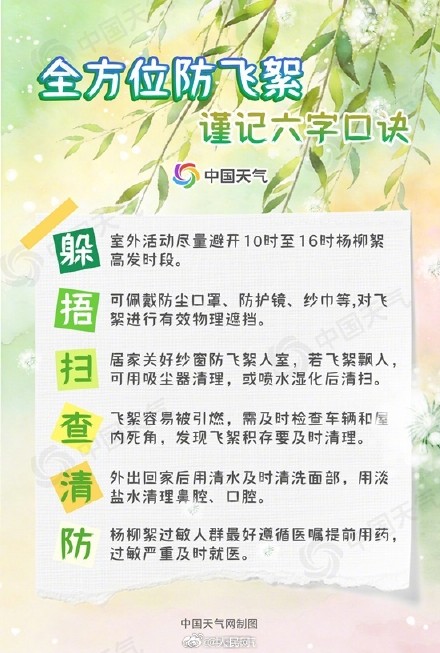 飞絮季开启！华北黄淮进入杨柳絮飘飞期