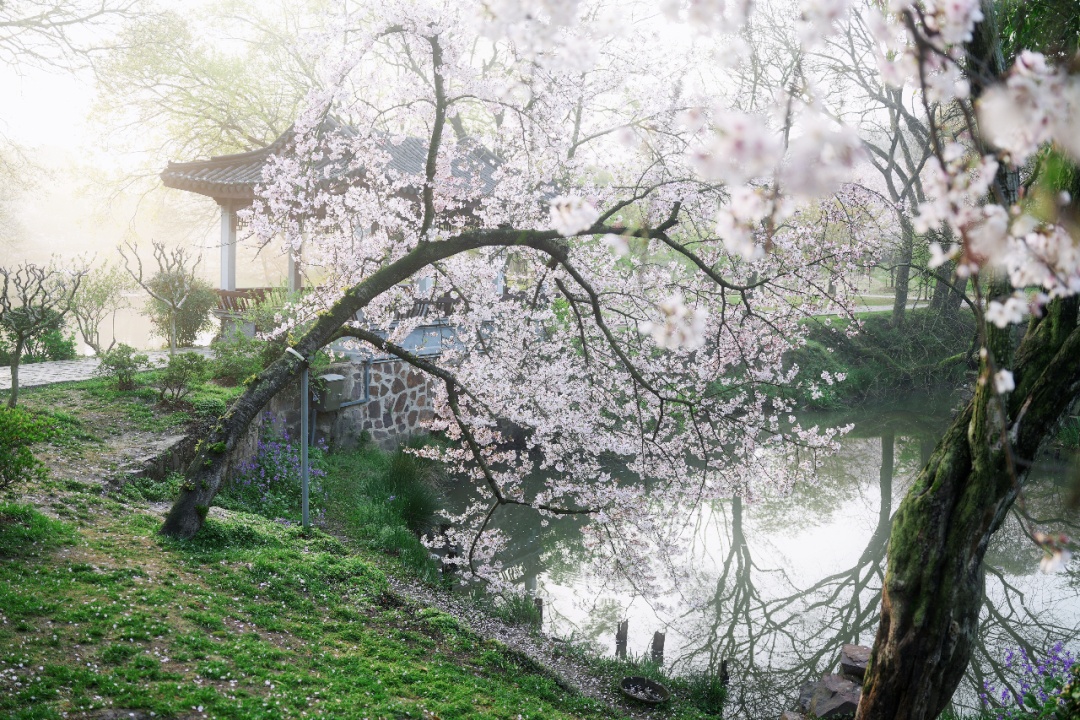 无锡秋假安排：连休5天