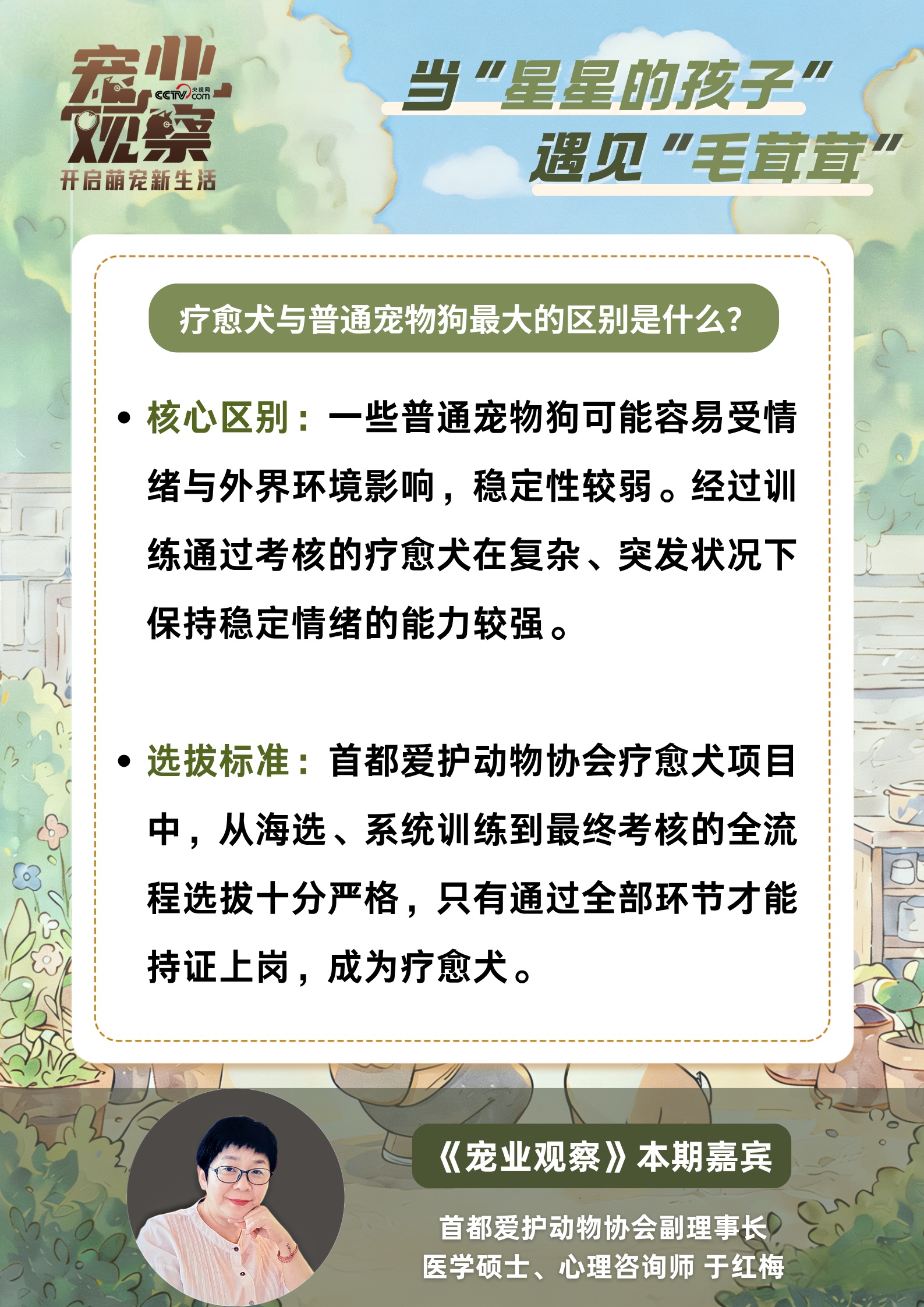 世界孤独症日：当“星星的孩子”遇见上岗的“毛茸茸”