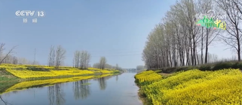 从“种田地”到“种风景” “花样经济”新业态奏响乡村振兴“春日曲”