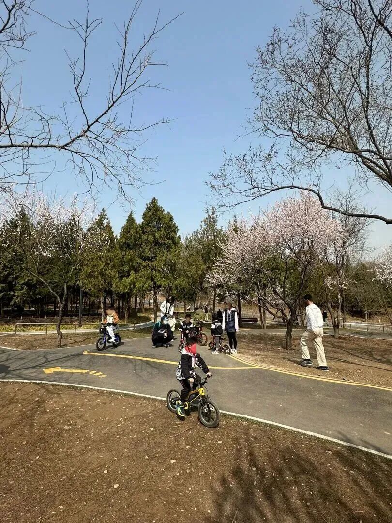 请注意！这种“免费乐园”暗藏危险