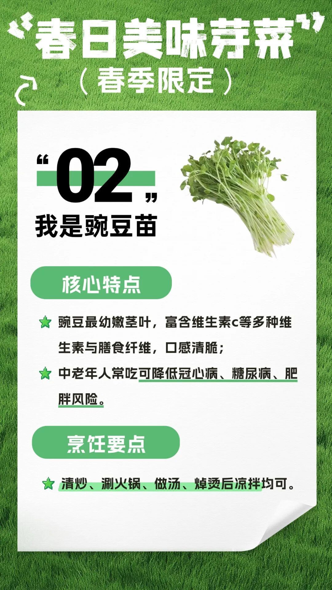 收藏！春日芽菜，这样吃健康又美味→
