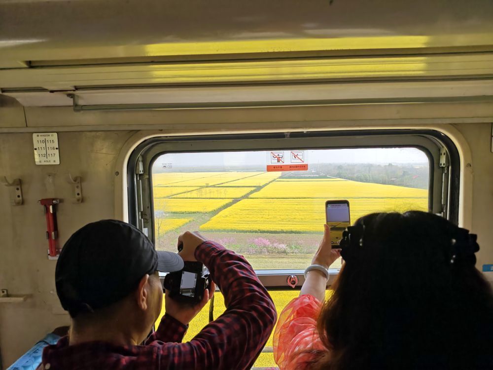 春日经济新图景｜坐趟开往春天的“时光机”