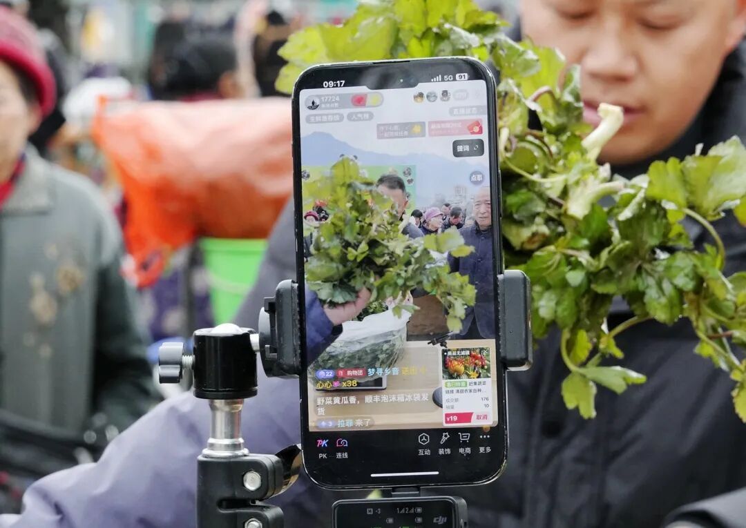 又火了！年轻人开始流行组团“打野”，很多四川人都在挖挖挖