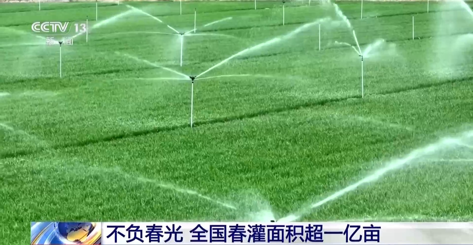 全国春灌面积超一亿亩 看看你家乡的“进度条”到哪了