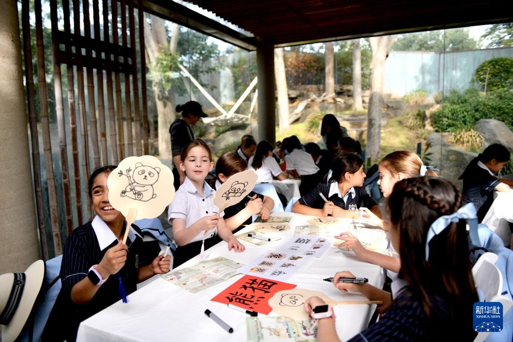 澳大利亚“国际中文日”活动大熊猫元素成亮点