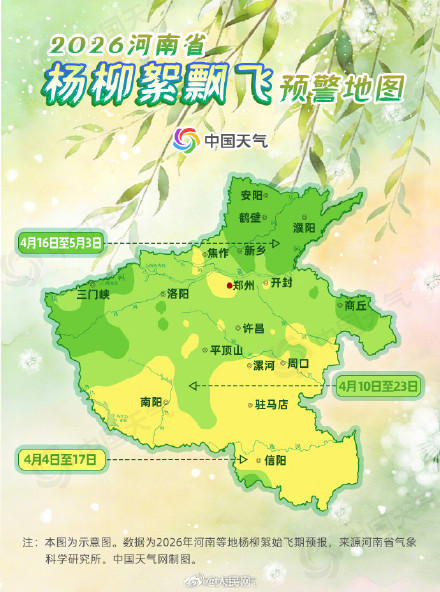 飞絮季开启！华北黄淮进入杨柳絮飘飞期