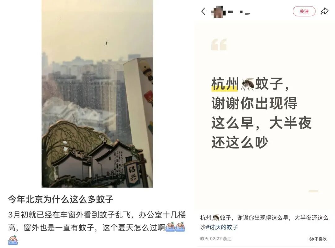 “今年蚊子史诗级加强”？