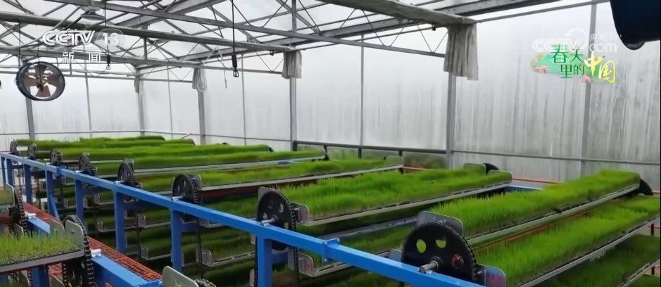 “新农机+新技术”赋能春耕 农业新质生产力绘就乡村振兴新“丰”景