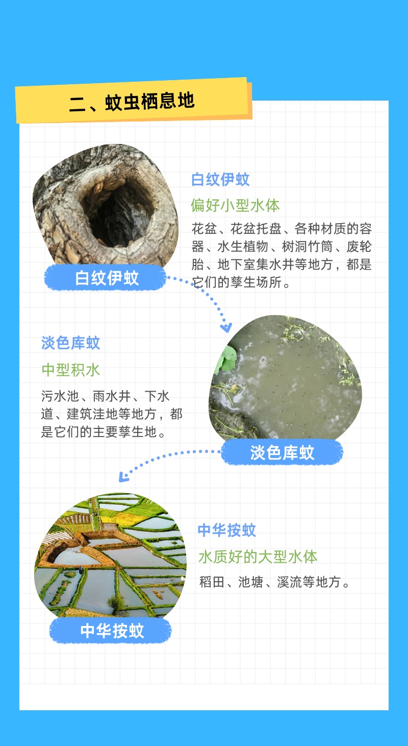 今夜雨水来袭，清明假期有雨吗？今年蚊子可能史诗级加强？上海疾控回应