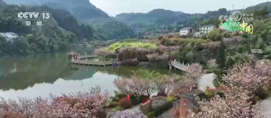 “赏花+”多业态蓬勃发展 农文旅融合让乡村“颜值”变“产值”