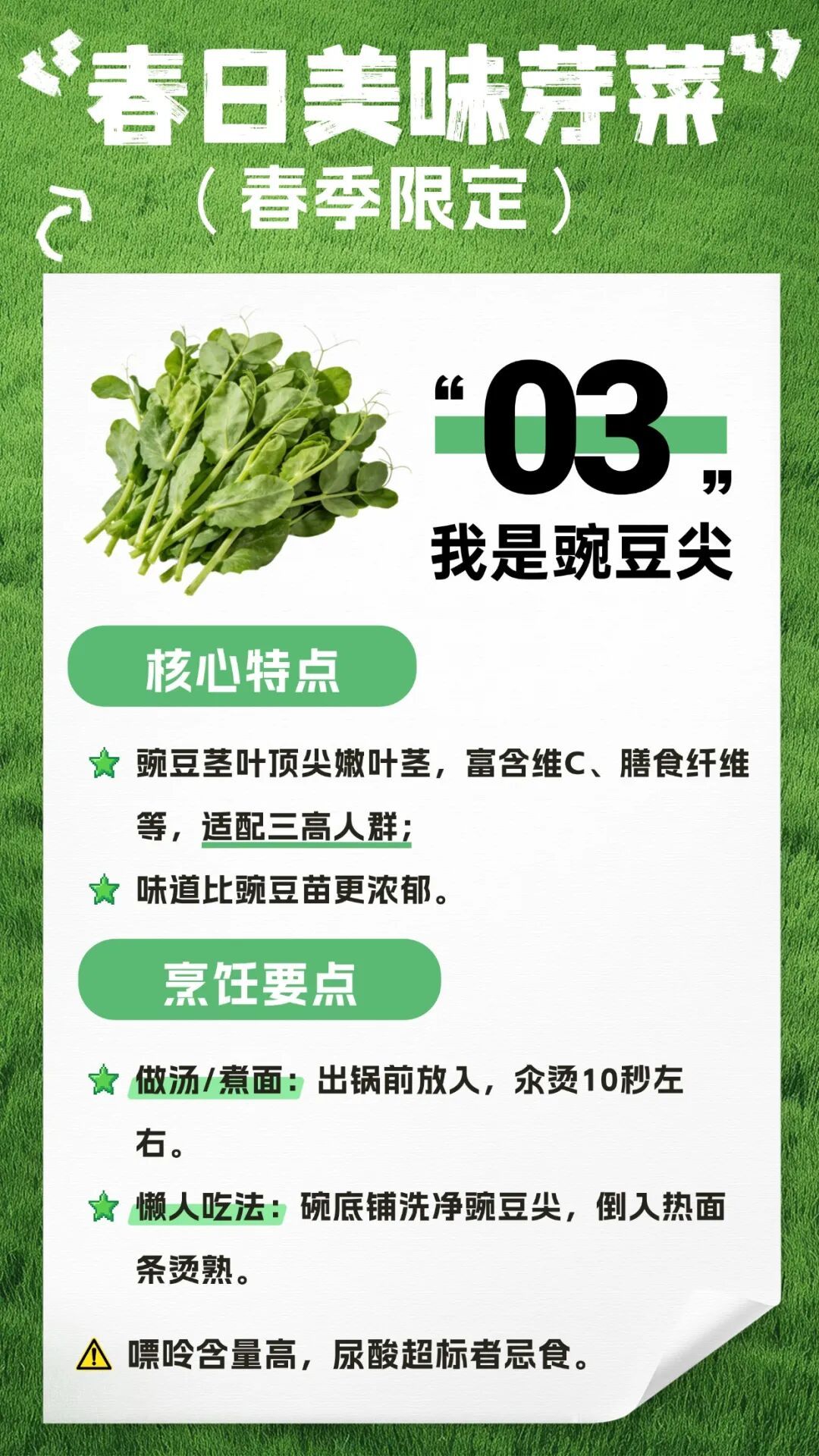 收藏！春日芽菜，这样吃健康又美味→