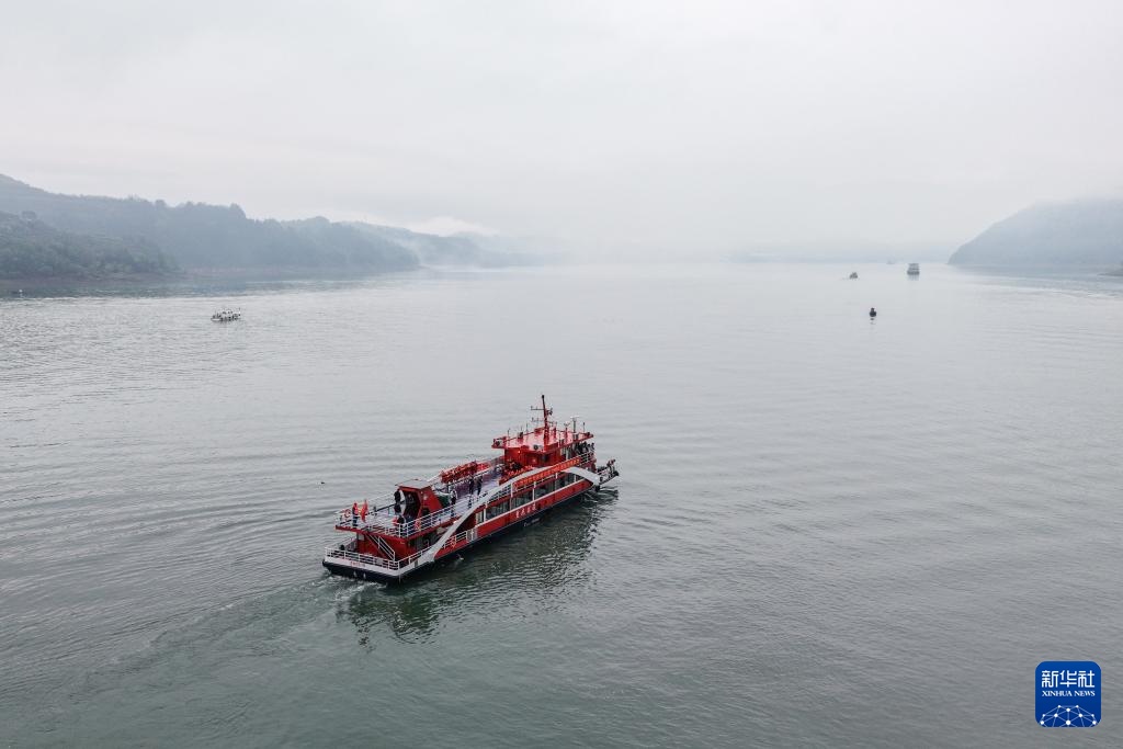 温度丨“背篓轮渡”续写温暖