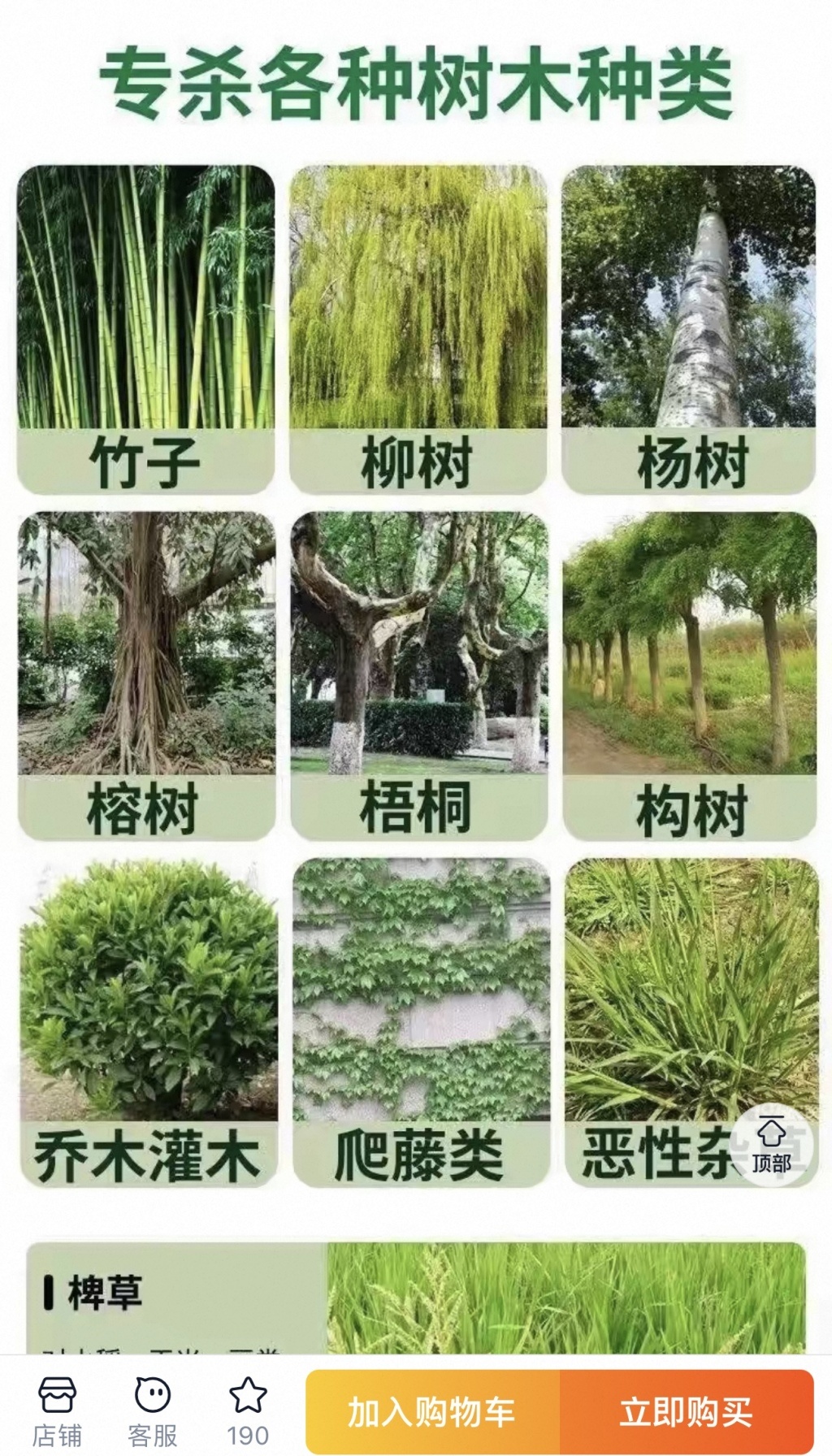 宣称“一滴即死”的杀树药网上热销：谁在为毁绿行为“递刀子”？