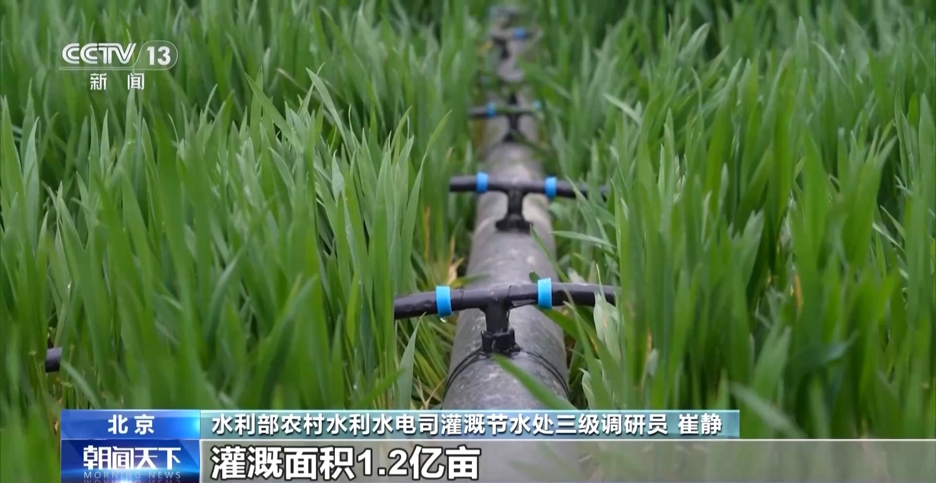 全国春灌面积超一亿亩 看看你家乡的“进度条”到哪了