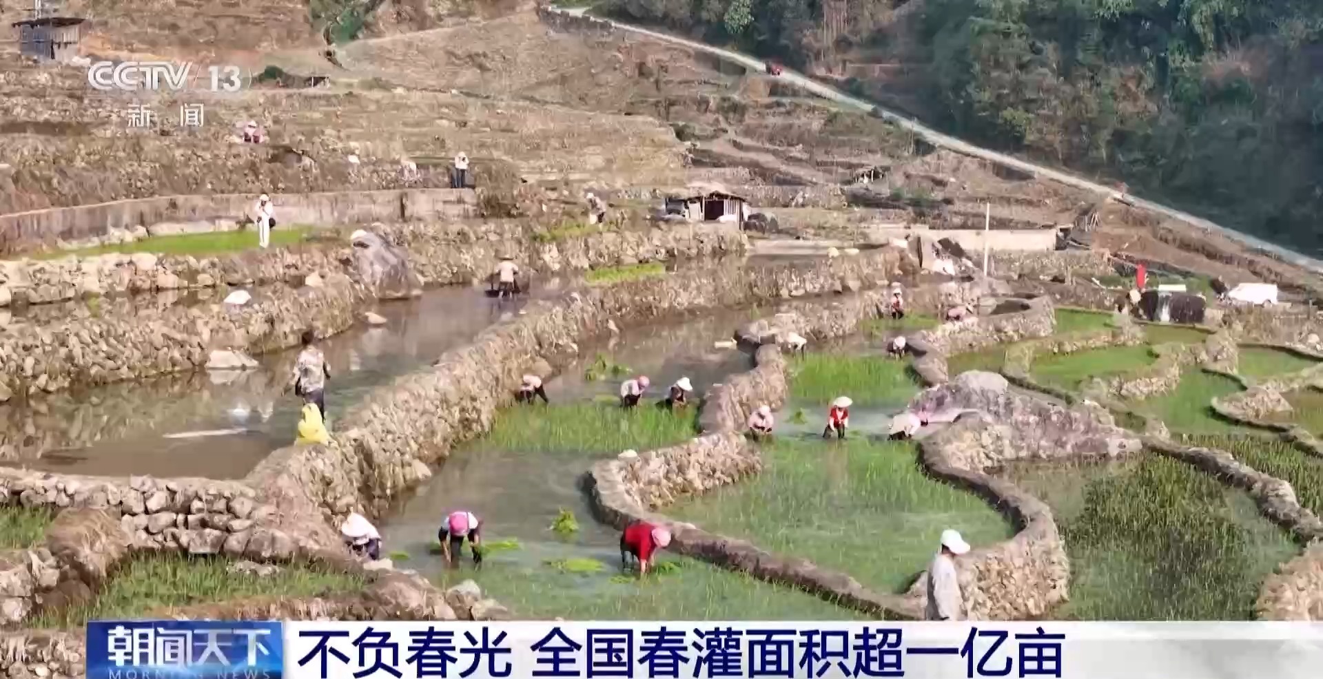 全国春灌面积超一亿亩 看看你家乡的“进度条”到哪了