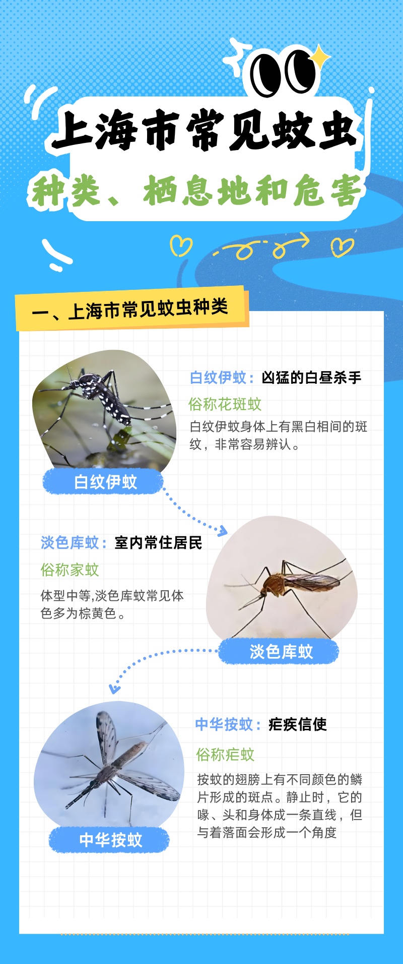 今夜雨水来袭，清明假期有雨吗？今年蚊子可能史诗级加强？上海疾控回应