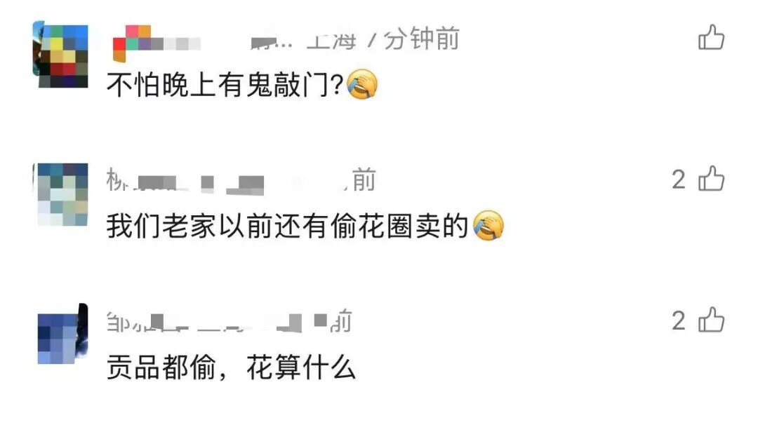 上海一墓园清明前诡异一幕！2人被抓获！网友怒了：太缺德！