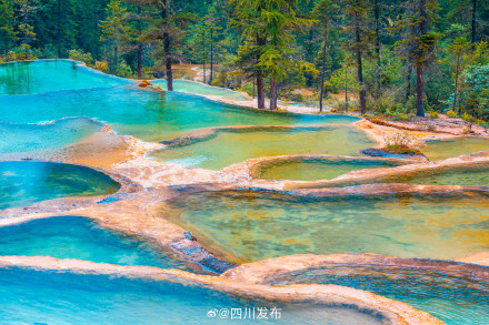 4月1日至6日，阿坝州黄龙对全国中小学生免门票！