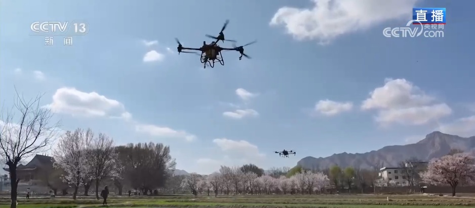 科技加持让春日麦田“节节高” 农旅融合激活乡村经济“步步高”