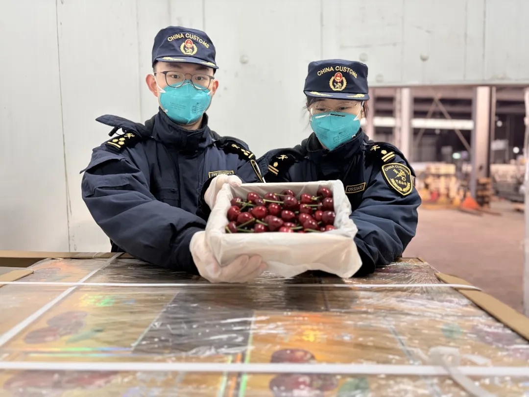 首次！“美早”直达欧洲