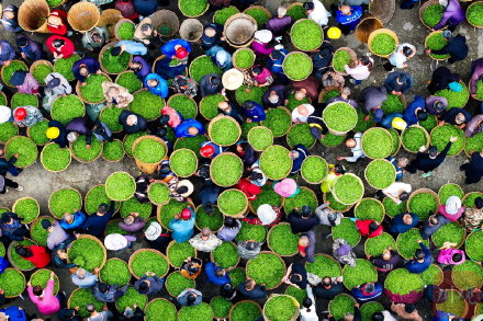 雅安茶山入画如画太雅了 &nbsp;每一帧都美得想要截图