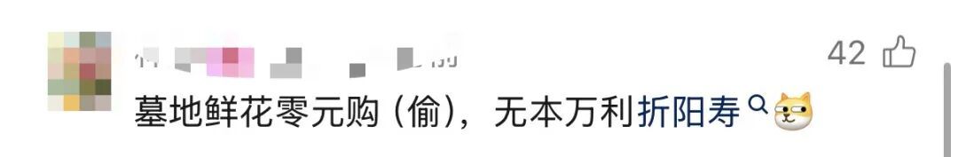 上海一墓园清明前诡异一幕！2人被抓获！网友怒了：太缺德！