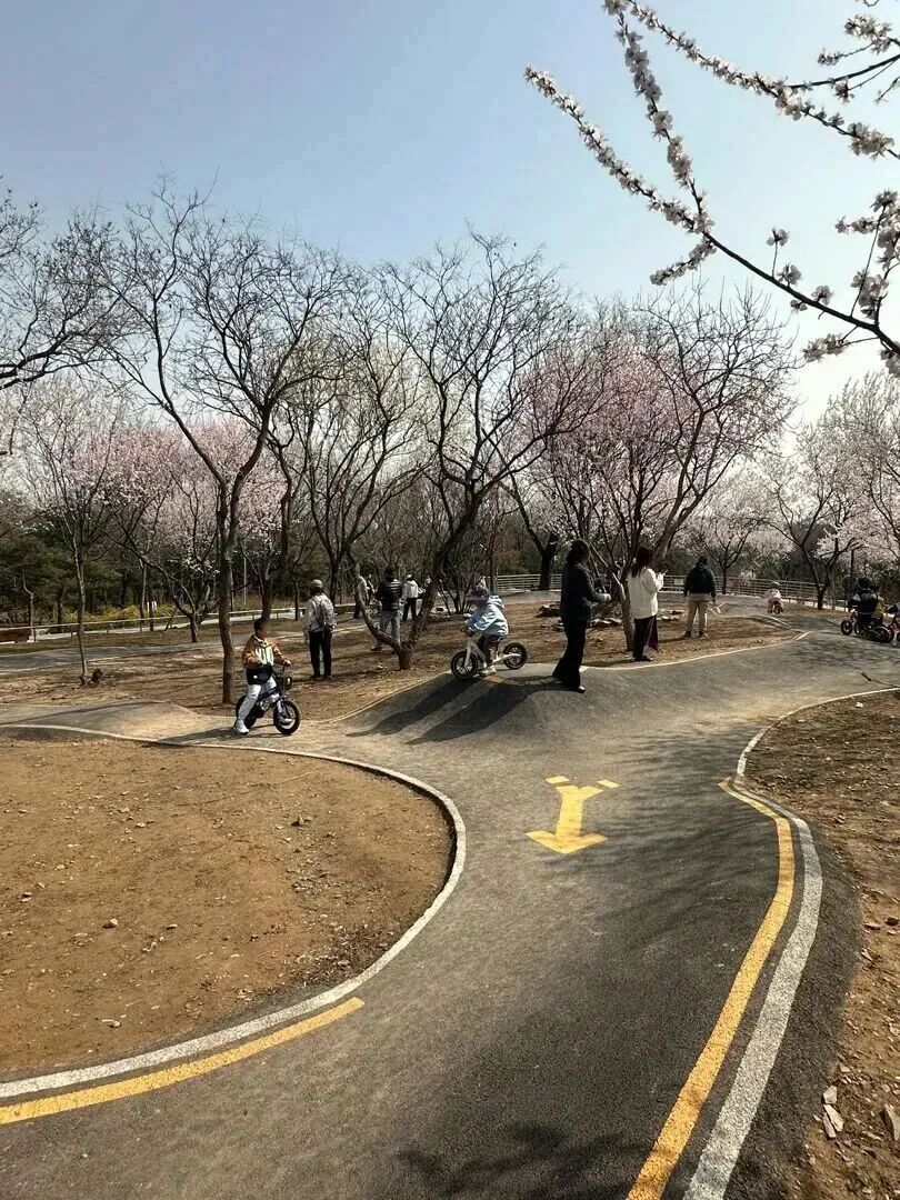 请注意！这种“免费乐园”暗藏危险