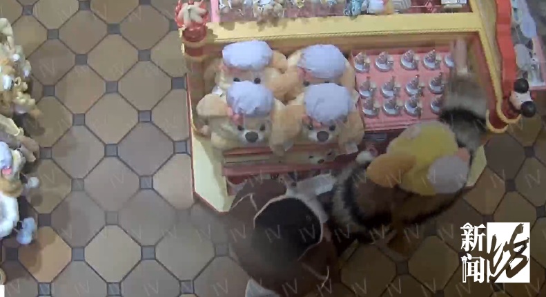 专盯迪士尼限量玩偶，28人团伙靠 “忘记付款” 盗卖牟利10余万元