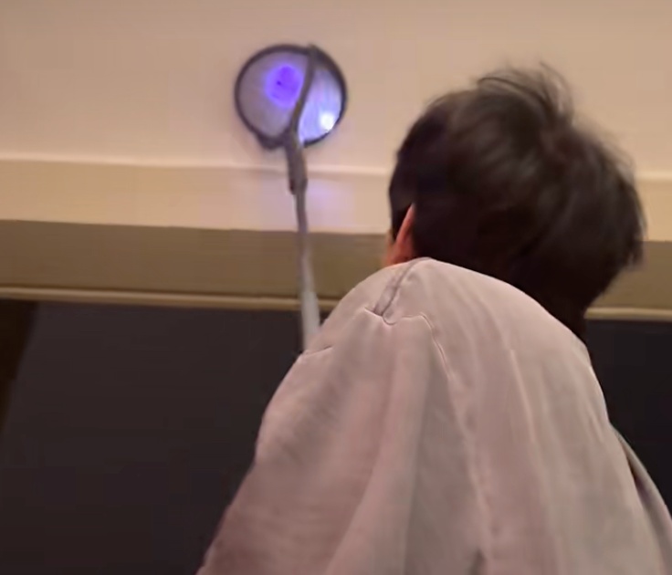 今年蚊子多到开挂？广东街坊一晚爆拍百只蚊子，电蚊拍狂响半小时没停过