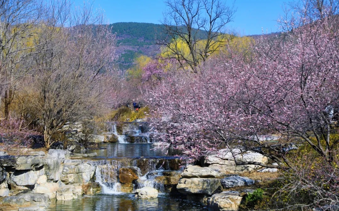 北京交通部门发布最新提示：清明假期北京易拥堵路段和事故多发路段——