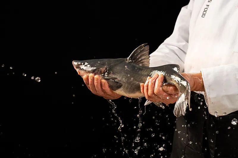 这6种鱼建议少吃，重金属含量可能超标！