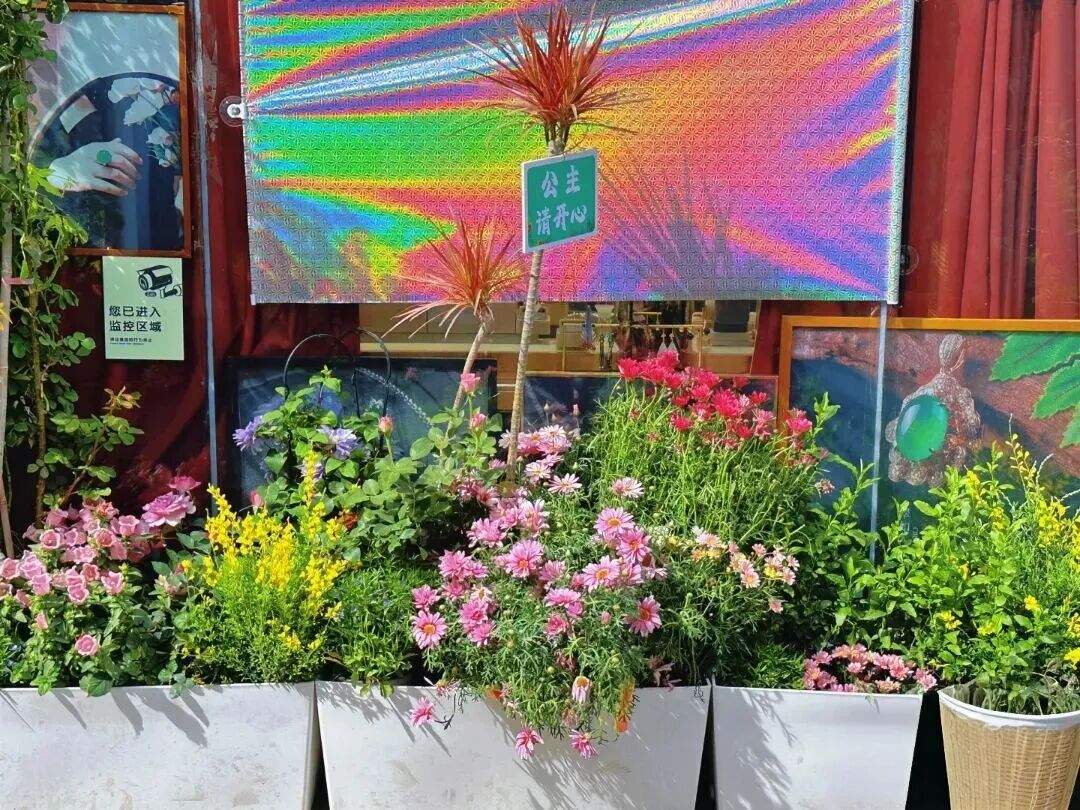 小而美的变化！春日漫步，北京这些街巷颜值真高——