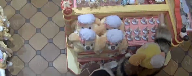 太猖狂！上海迪士尼28名盗窃嫌疑人被抓，警方披露案情