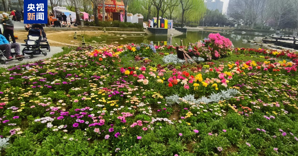 “花事”贯穿全年 京津冀三地同步发布赏花地图