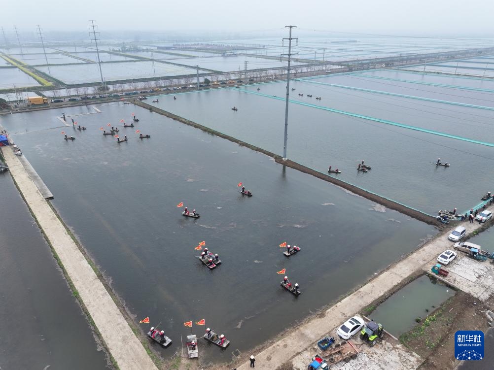 江苏：盱眙小龙虾开捕