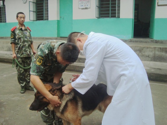 18岁缉毒烈士生命最后一刻，仍保持控制嫌犯姿势……