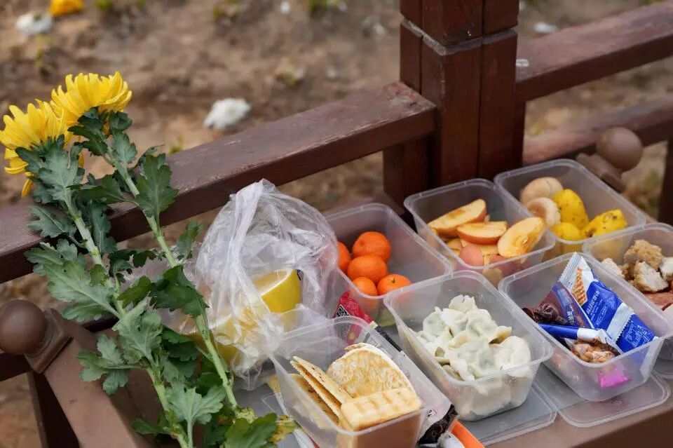 生态安葬，不只是“省地省事”那么简单