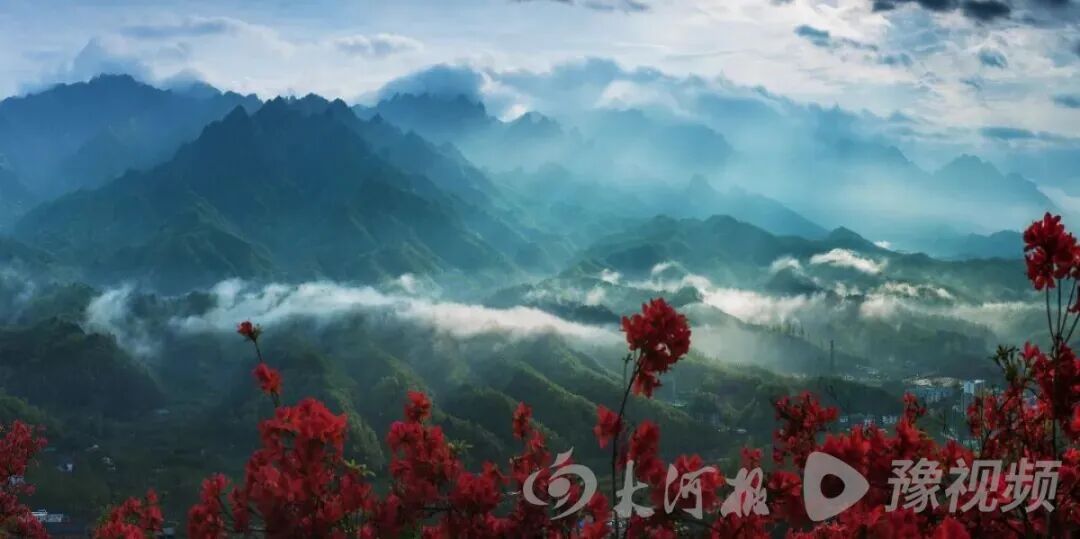 河南博物院、白马寺清明小长假预约已满！河南多地景区官宣：免票