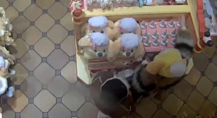 事发上海迪士尼！300元商品30元就卖了，28人全部被抓！警方披露案情