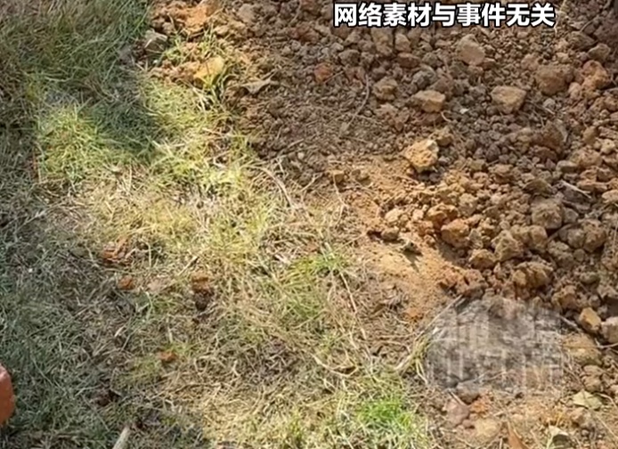 父亲去世后，母亲：“你爸好像埋过什么东西”！男子挖出后直冲警局