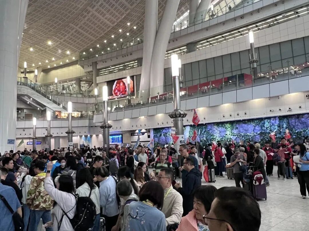 深港口岸人流量“爆了”！网友：满眼都是“北上”的期待与快乐