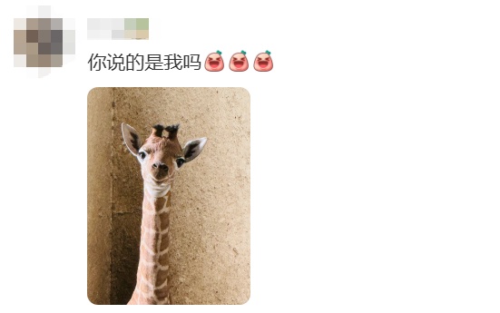 刚出生身高就1米93？家族喜讯不断！网友羡慕：我一生遥不可及的梦