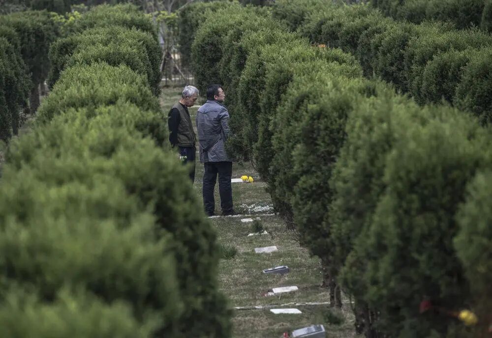 生态安葬，不只是“省地省事”那么简单