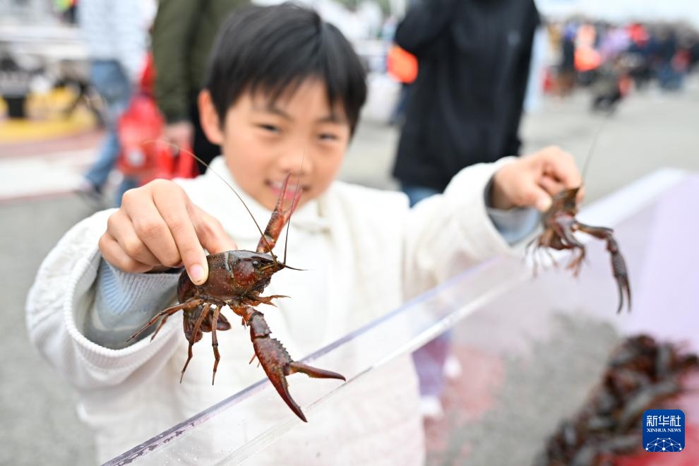 江苏：盱眙小龙虾开捕