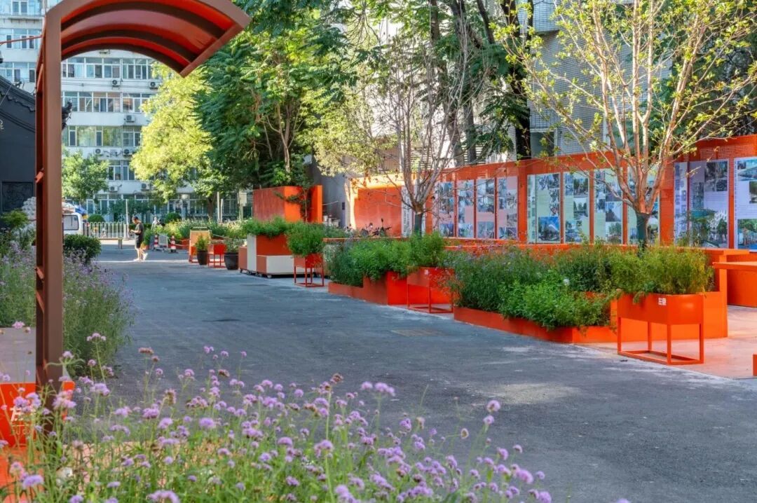 小而美的变化！春日漫步，北京这些街巷颜值真高——