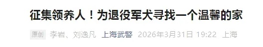 上海6只军犬即将退役，面向社会招募领养人，网友：英雄值得安稳余生！
