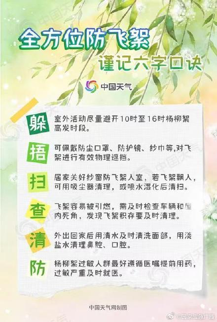 一年一度飞絮季又要开始了