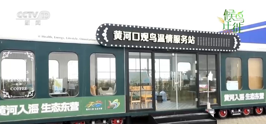 湿地繁茂、万鸟蹁跹 在绿水青山间书写湿地保护生态答卷