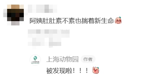 刚出生身高就1米93？家族喜讯不断！网友羡慕：我一生遥不可及的梦